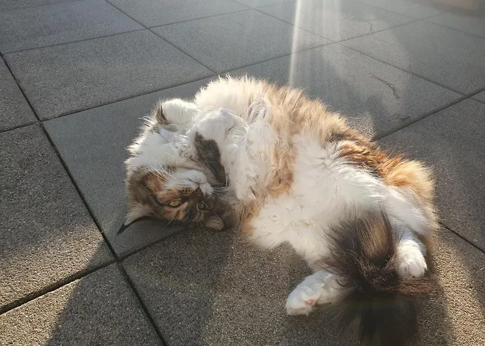 Riviera - Private In A Shared * Vevey