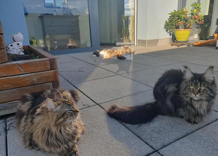 فندق Riviera - Private In A Shared فيفي