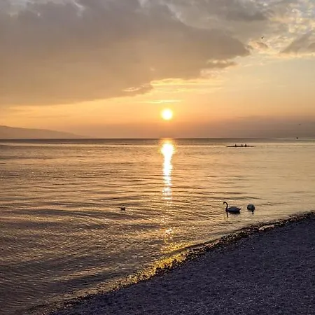 Hotel Riviera - Private In A Shared Vevey