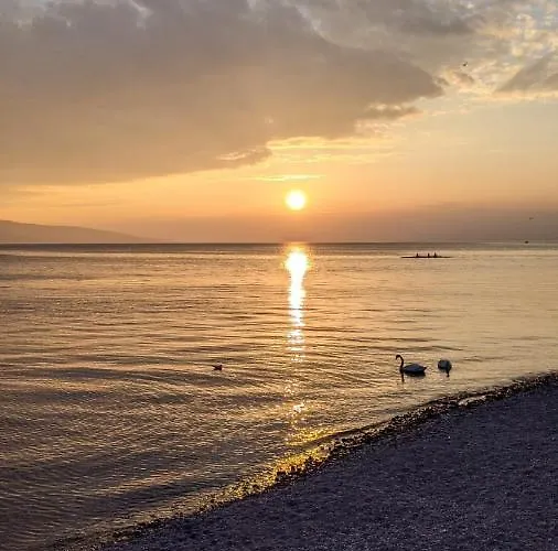 Hotel Riviera - Private In A Shared Vevey